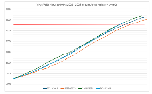 Vintage 2024 - The shortest ripening window yet - lessons from past seasons.
